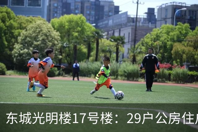东城光明楼17号楼：29户公房住户凑钱把楼拆了重建