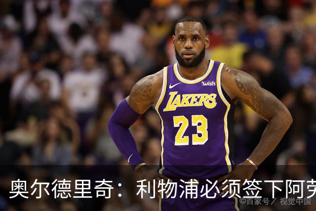 奥尔德里奇：利物浦必须签下阿劳霍